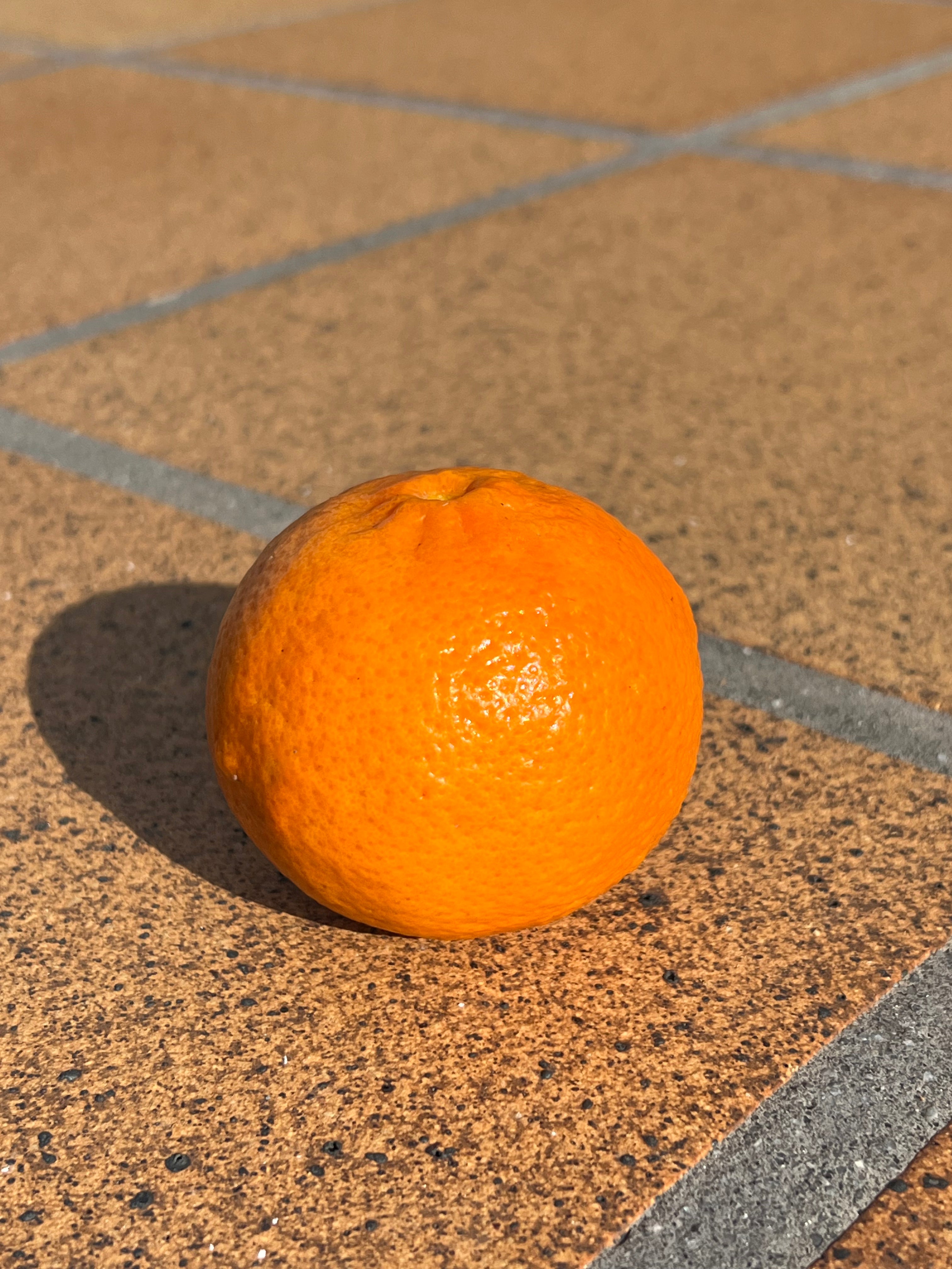 Mandarina Recién Recolectada