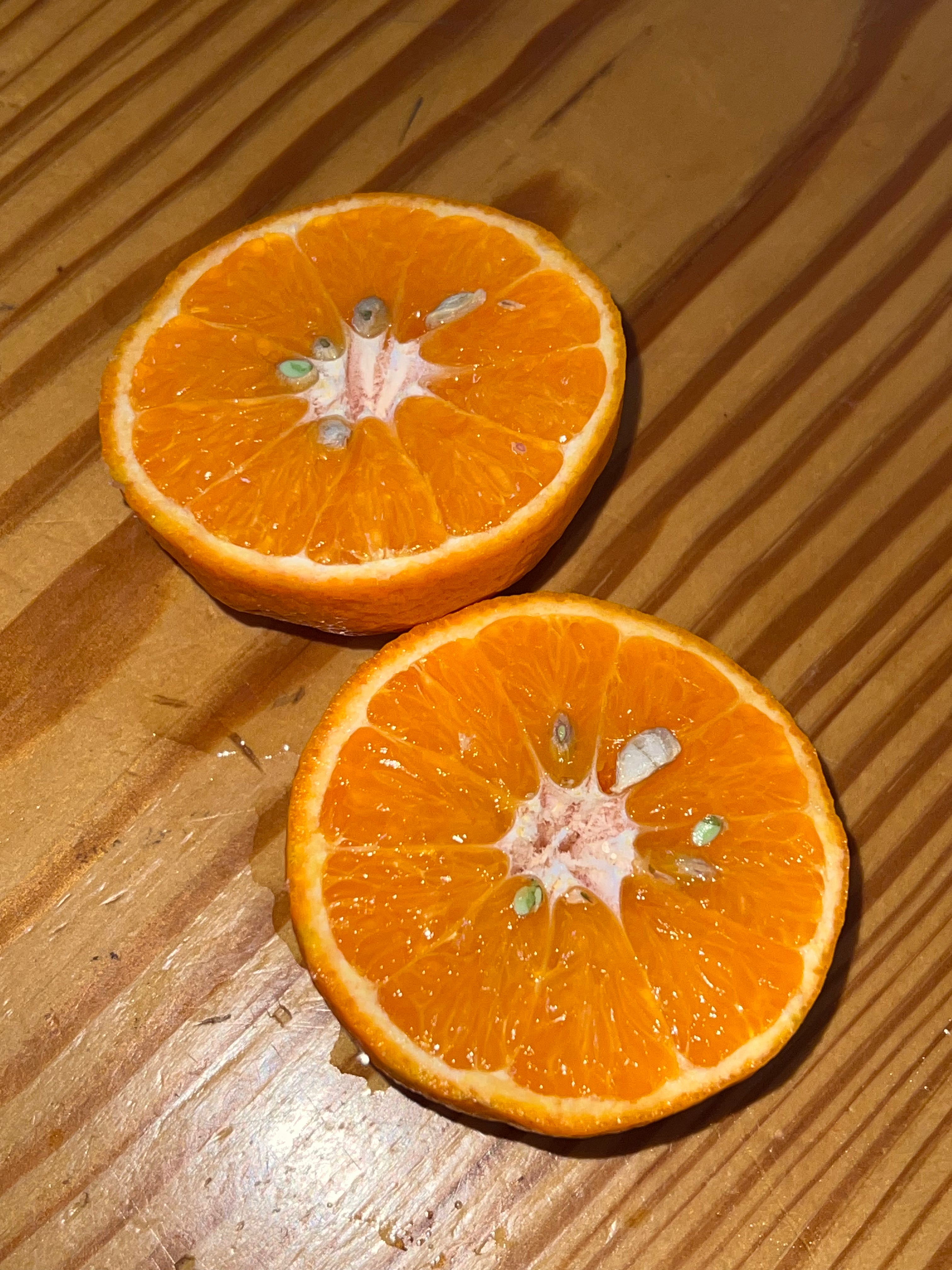 Mandarina Recién Recolectada