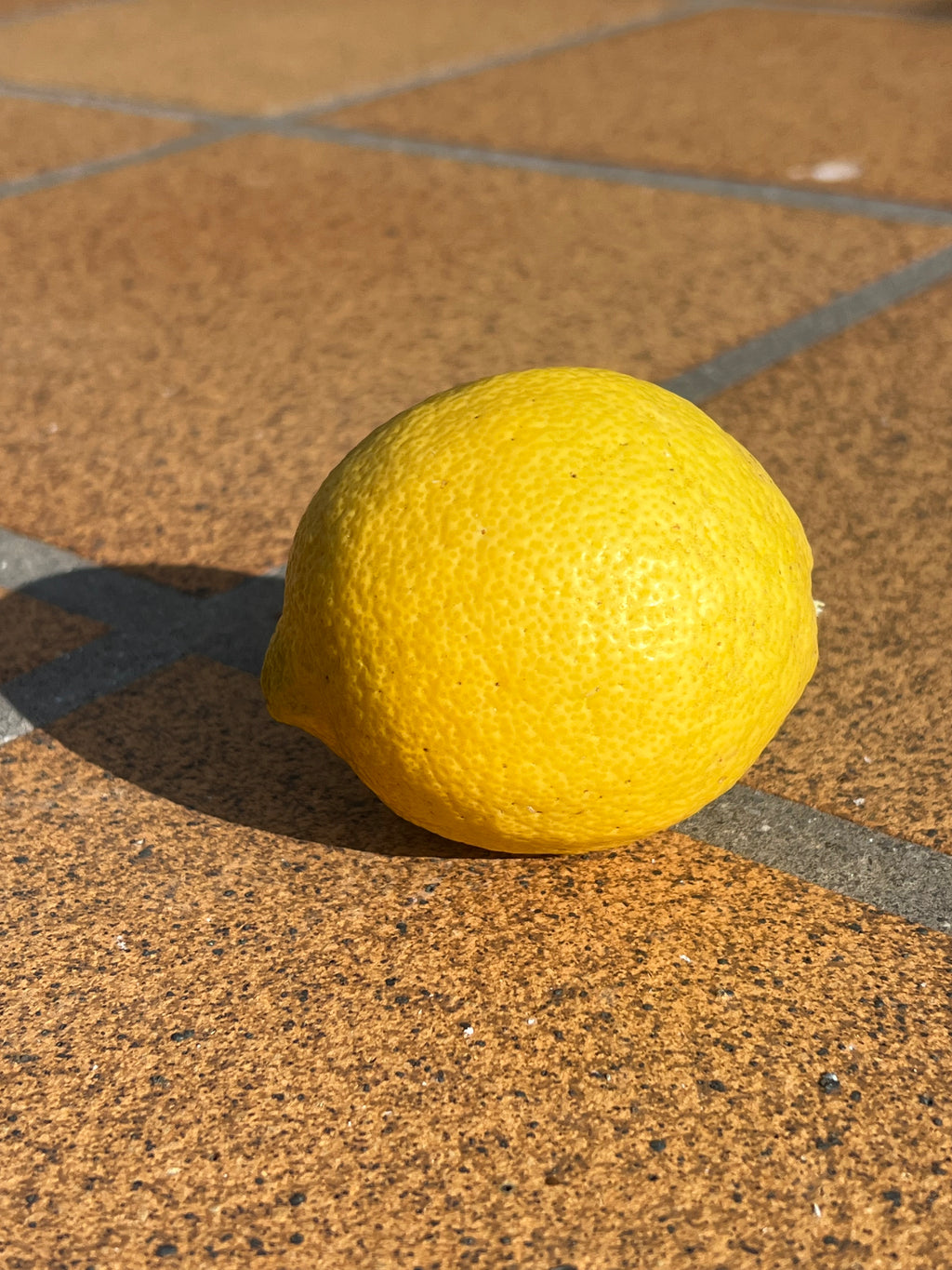 Limón Recién Recolectado